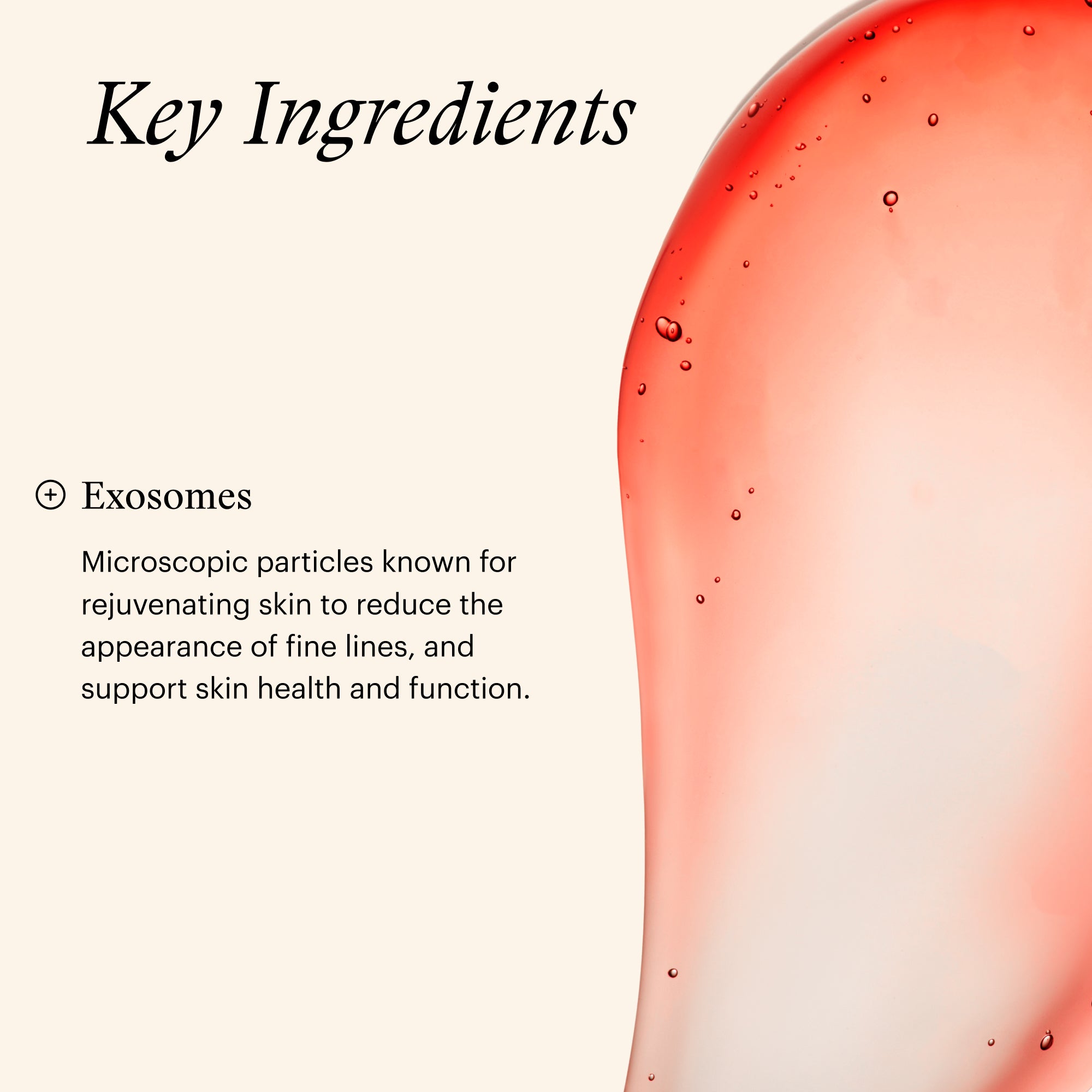 <transcy>Complejo de recuperación SkinMedica TNS (1 oz)</transcy>